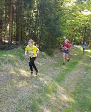 Weiterlesen: 47. Rennsteiglauf am 18.05.2019